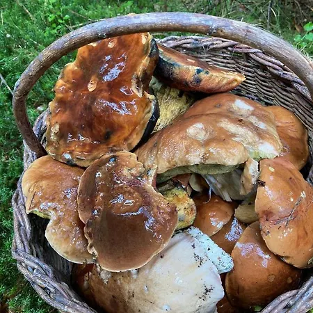 Apartamento Montana Nýrsko